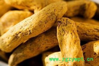 厂家供应姜黄 椭圆形或圆柱状毛姜黄 根节坚硬 气味辛辣图3