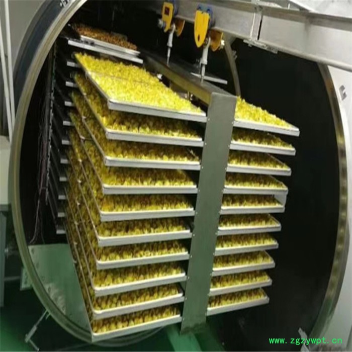 利宇 玫瑰花冻干机 葛根低温冷冻干燥机 胎菊冻干设备图5