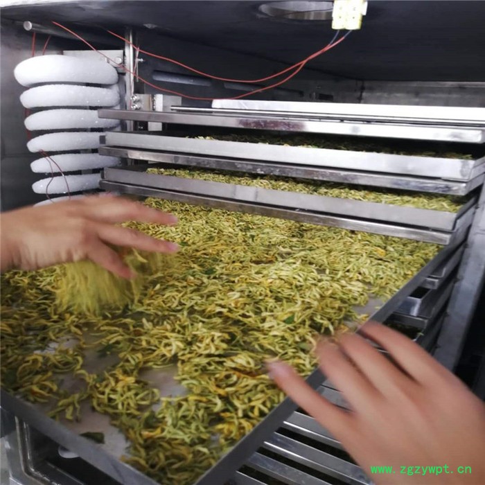 利宇 玫瑰花冻干机 葛根低温冷冻干燥机 胎菊冻干设备图8