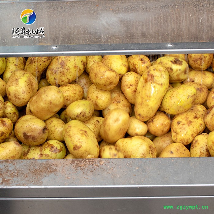 腾昇TS-M800新款大产量土豆去皮清洗机 不锈钢葛根洗泥去皮机 橄榄果清洗机 质保图7