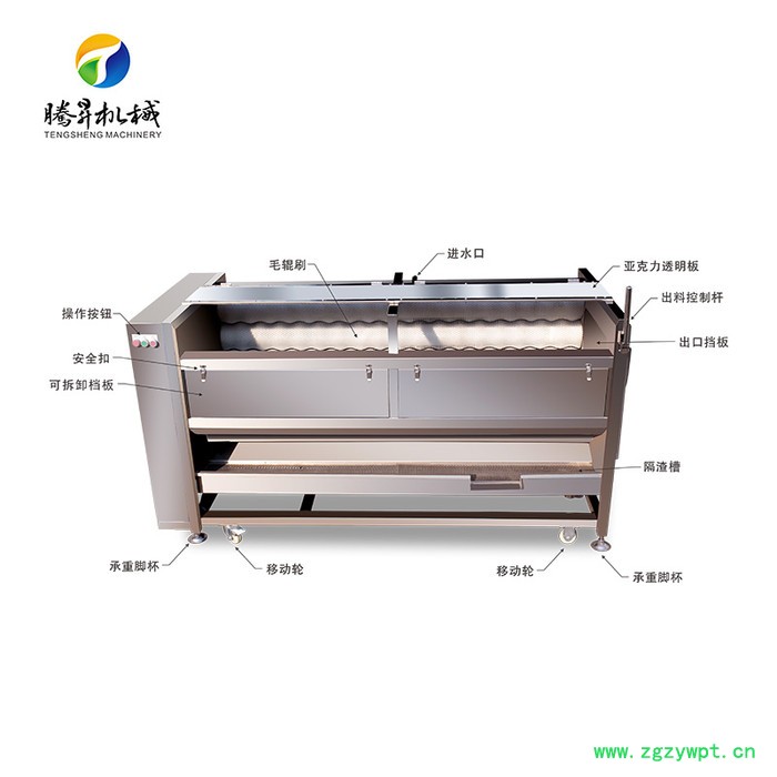 腾昇TS-M800新款大产量土豆去皮清洗机 不锈钢葛根洗泥去皮机 橄榄果清洗机 质保图5