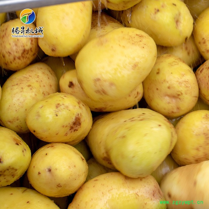 腾昇TS-M800新款大产量土豆去皮清洗机 不锈钢葛根洗泥去皮机 橄榄果清洗机 质保图8
