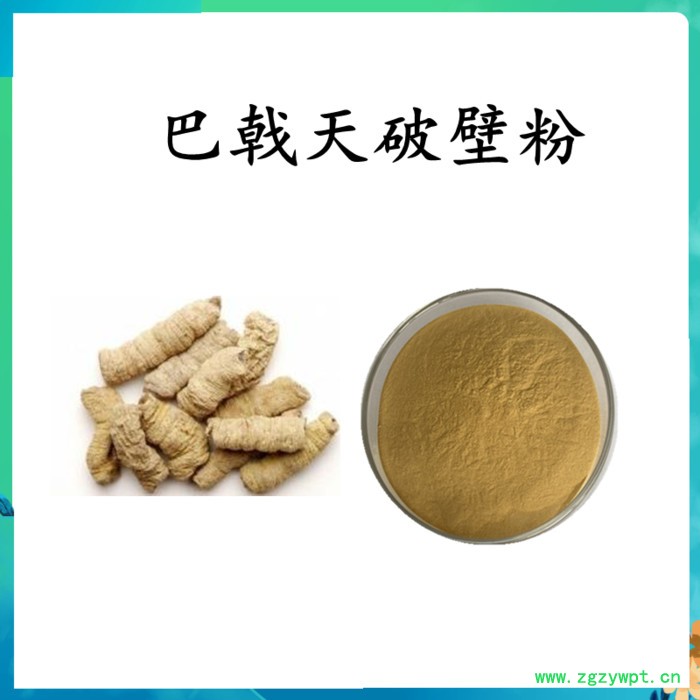 扶风斯诺特 白芨破壁粉  水溶 可定制图3