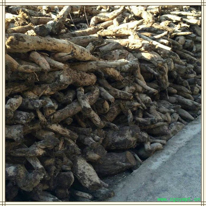 自产自销**葛根粉农家葛粉250G图2