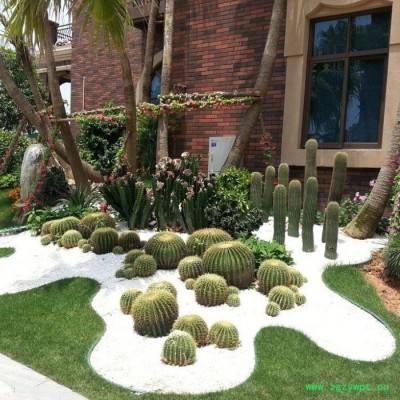 安徽合肥草石隔离带葛根带绿化隔离带马鞍山隔离带价格