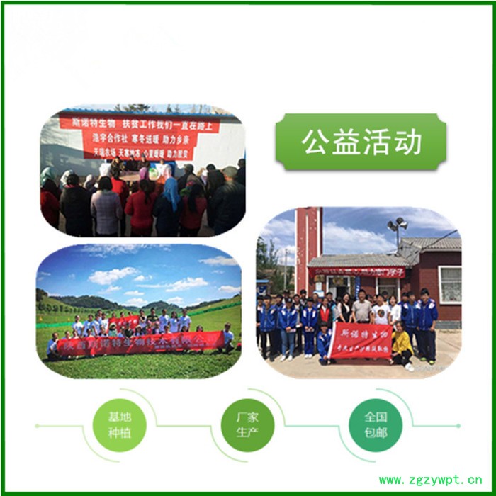 斯诺特  白芨提取物  白芨水溶性多糖  生产厂家图7