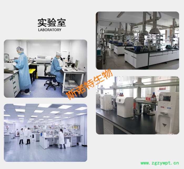 斯诺特  白芨提取物  白芨水溶性多糖  生产厂家图6