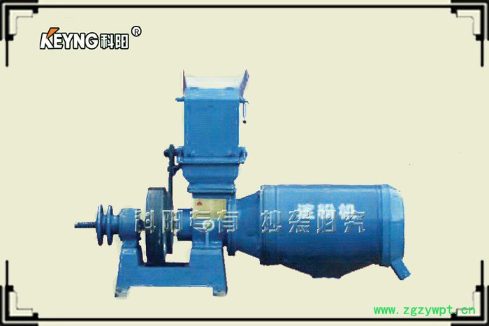 专业生产制造科阳牌6SF278B科阳专业红薯打粉机，红薯淀粉机械薯类浆渣分离机  葛根粉碎机，土豆粉图2