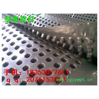 朔州楼顶绿化疏水板—山西临汾屋顶种植排水板--HDPE葛根板