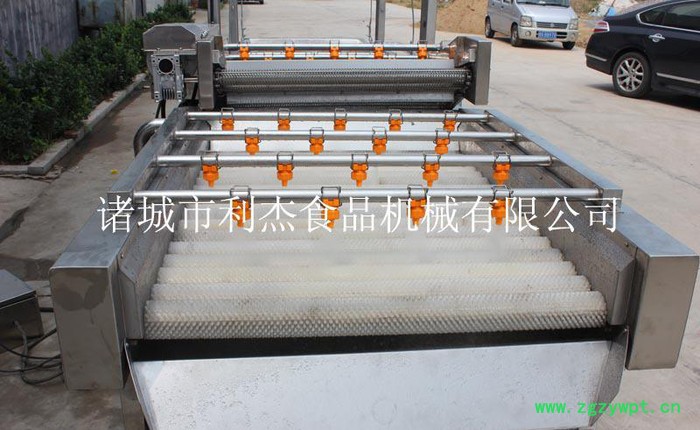 块状 根状中药材清洗去杂机 葛根清洗去杂机 牛蒡清洗去杂机图2