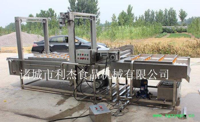 块状 根状中药材清洗去杂机 葛根清洗去杂机 牛蒡清洗去杂机图3