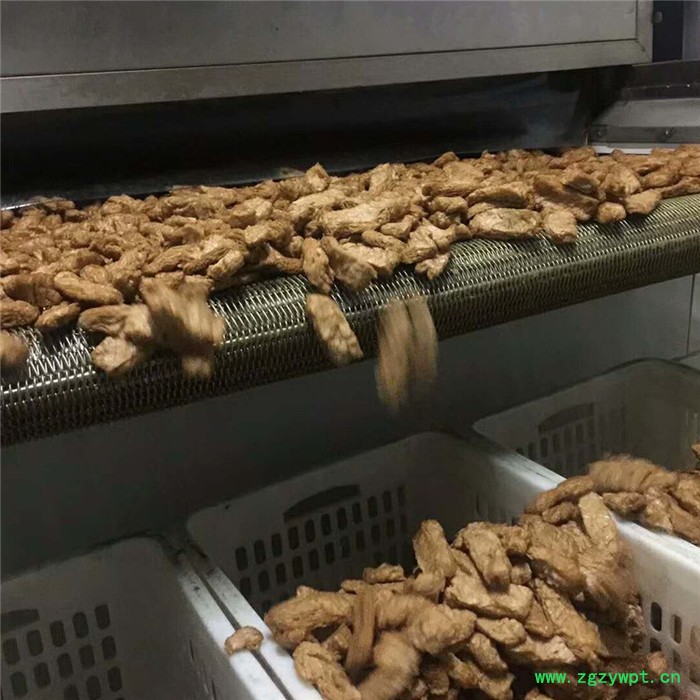 义康hg -4/3型鸡茸菇烘干机 人参脱水烘干机 全自动葛根烘干机图6