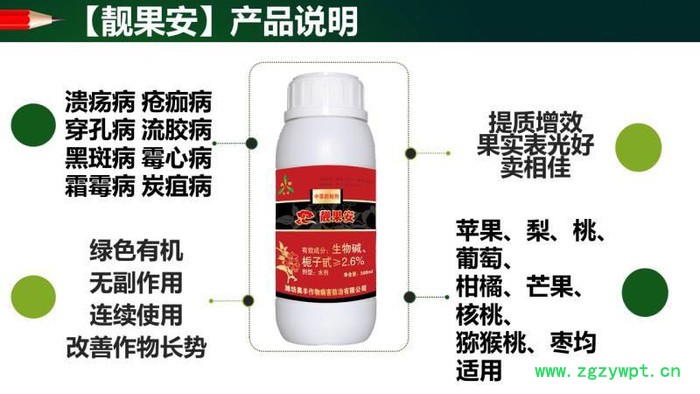 奥力克 白芨根腐病生物制剂青枯立克奥丰**图2