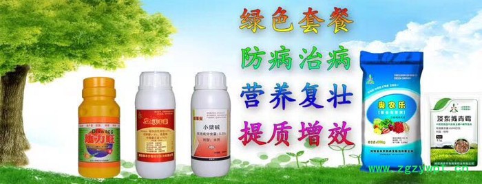 奥力克 白芨根腐病生物制剂青枯立克奥丰**图3