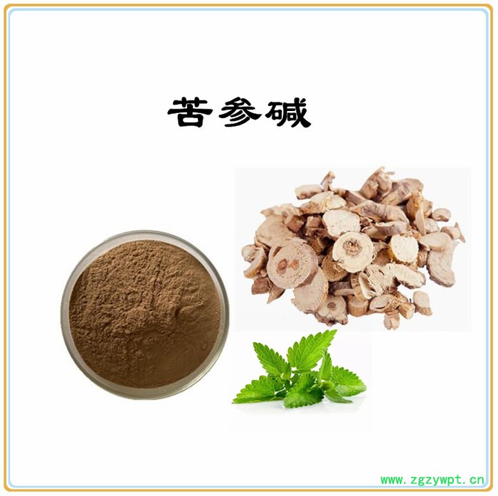 苦参提取物10:1 苦参碱 苦参粉图3