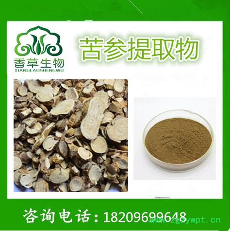 苦参粉98% 苦参浓缩粉水溶型 苦参浸膏粉图2