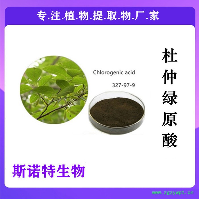 白芨提取物 白芨多糖30% 全水溶 厂家原料粉图8