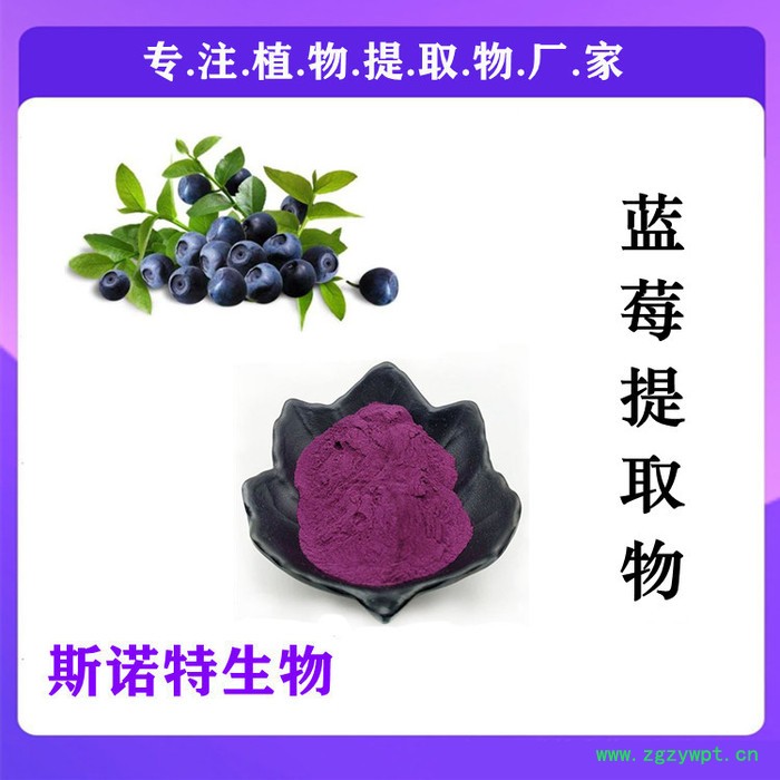 白芨提取物 白芨多糖30% 全水溶 厂家原料粉图5