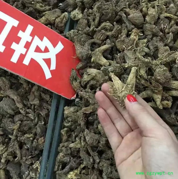 白芨种植技术全年供应种苗块茎图3