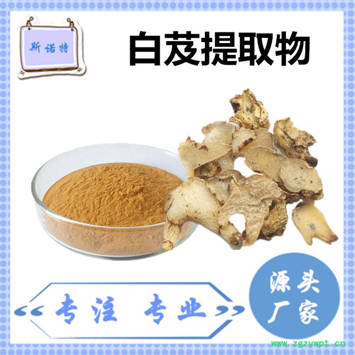 斯诺特 白芨提取物 白芨粉 厂家供应 包邮图8