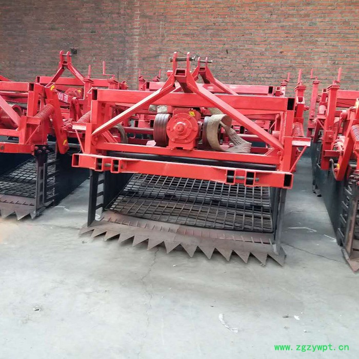 小根蒜收获机 黄芪捡石机 融兴 白芨捡石机 黄芪起药机械图5