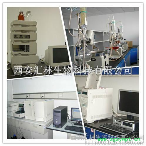 厂家现货专业供应苦参提取物10：1消炎图5