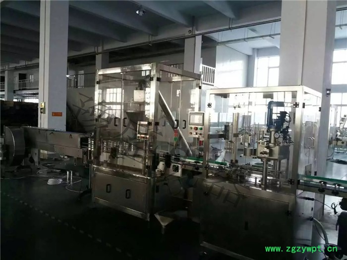 双头葛根粉 药粉包装机  面粉淀粉粉剂定量包装机图8