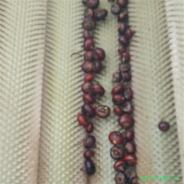 义康MQX-1500型 海产品毛棍清洗机 土豆去皮清洗设备  葛根去污清洗加工设备图3