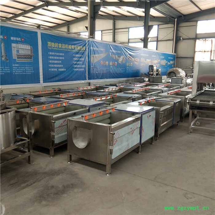 义康MQX-1500型 海产品毛棍清洗机 土豆去皮清洗设备  葛根去污清洗加工设备图8