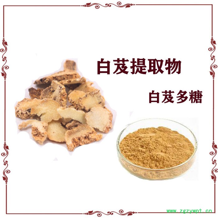 白芨提取物  10:1  白芨多糖  白芨粉图5