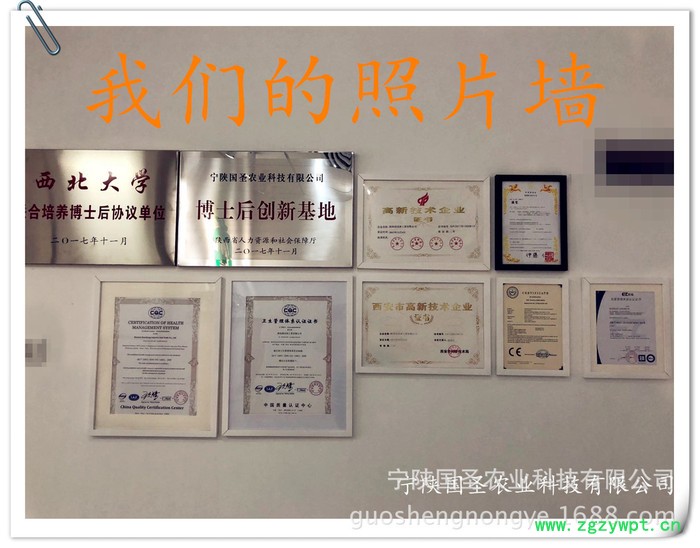 宁陕国圣 苦参粉 熊果叶粉 云芝粉 蔓越莓粉 接骨木粉图4