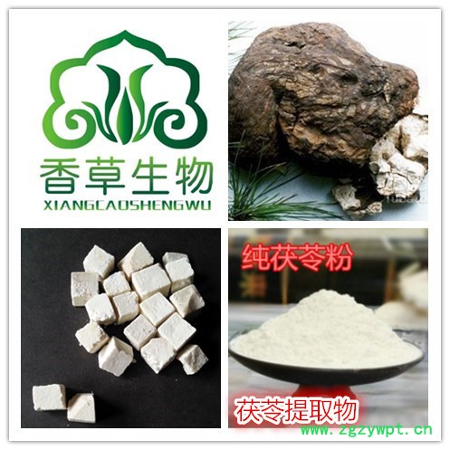 香草生物 茯苓提取物 宁夏厂家供应茯苓多糖 葛根提取物 茯苓粉图4