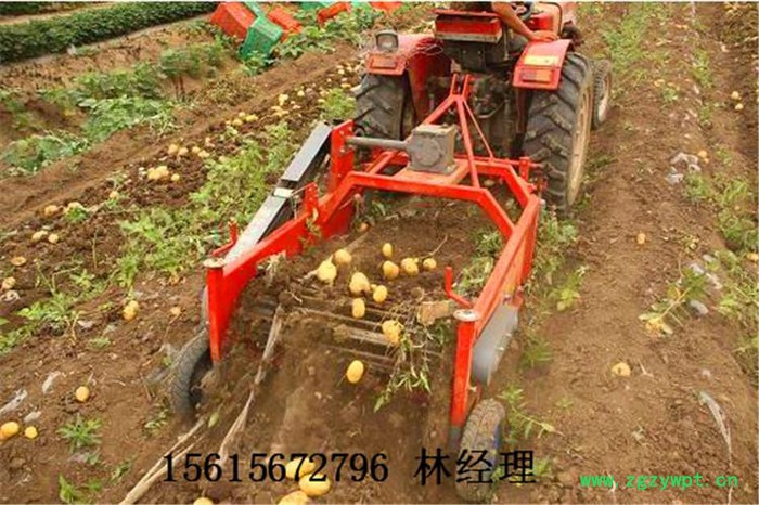 圣之源 牌厂家**薯类挖掘机 全自动洋芋收获机 葛根收获机 地瓜挖掘机图3