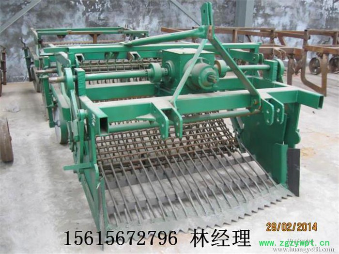 圣之源 牌厂家**薯类挖掘机 全自动洋芋收获机 葛根收获机 地瓜挖掘机图4