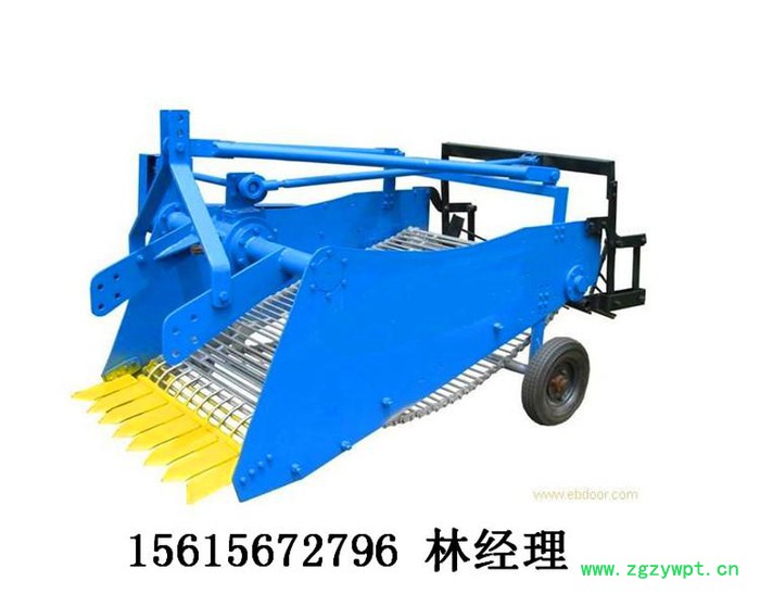 圣之源 牌厂家**薯类挖掘机 全自动洋芋收获机 葛根收获机 地瓜挖掘机图6