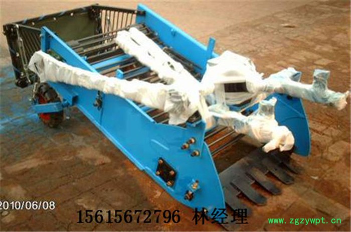 圣之源 牌厂家**薯类挖掘机 全自动洋芋收获机 葛根收获机 地瓜挖掘机图8