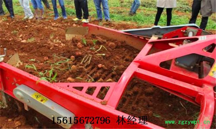 圣之源 牌厂家**薯类挖掘机 全自动洋芋收获机 葛根收获机 地瓜挖掘机图2