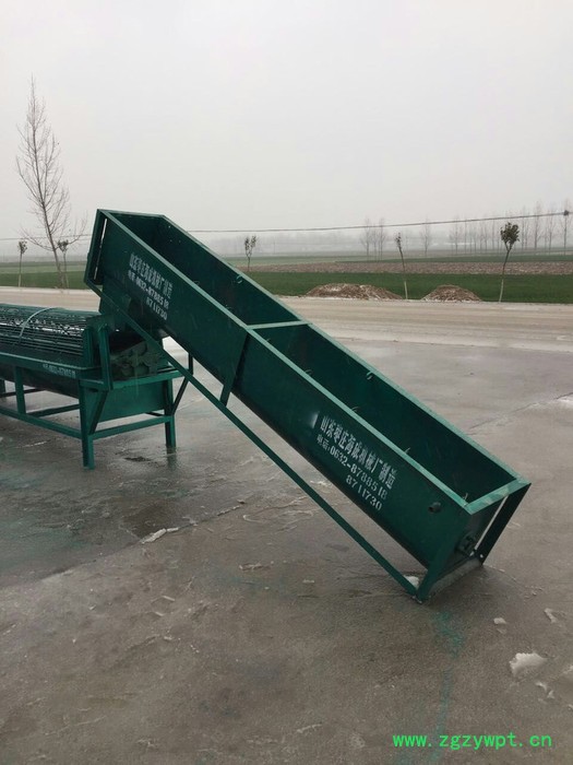 海成机械HC-1商用薯类自动上料洗薯机 毛芋葛根红薯除泥沙机器 红薯洗薯机图5