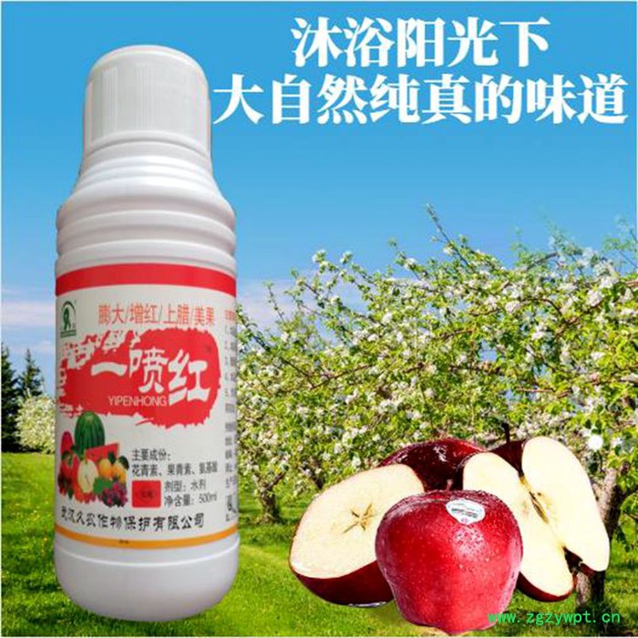 供应绿齐苦参碱 植物苦参碱 植物源农药 中草药农药 苦参碱0.3％图4