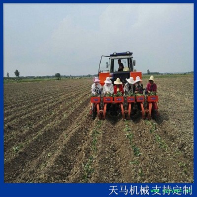 四川药材移栽机供应商  药材栽苗机 知母移栽机 移栽效率高 范围广