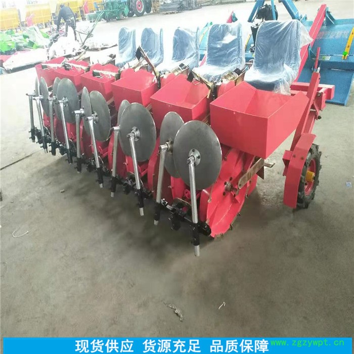 天马新一代 4000株/小时中药材移栽机  丹参移栽机  苦参移栽机  定制出售图7