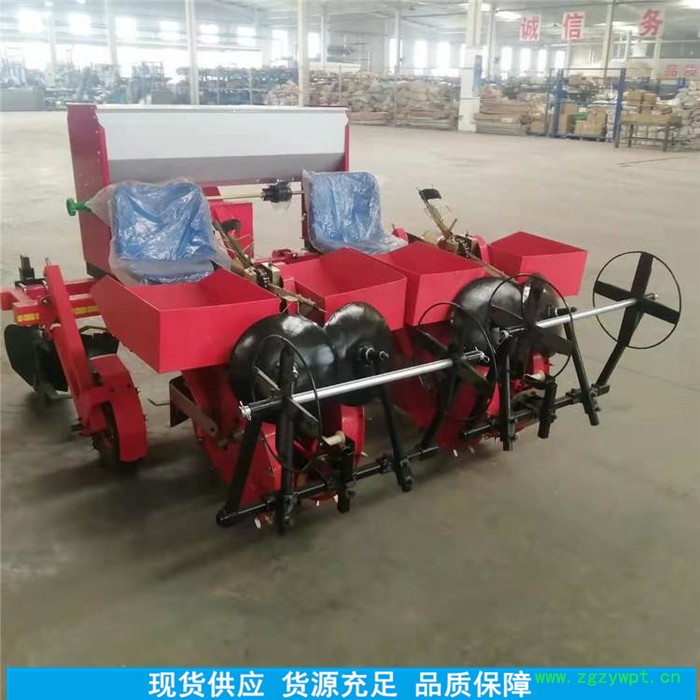 天马新一代 4000株/小时中药材移栽机  丹参移栽机  苦参移栽机  定制出售图5