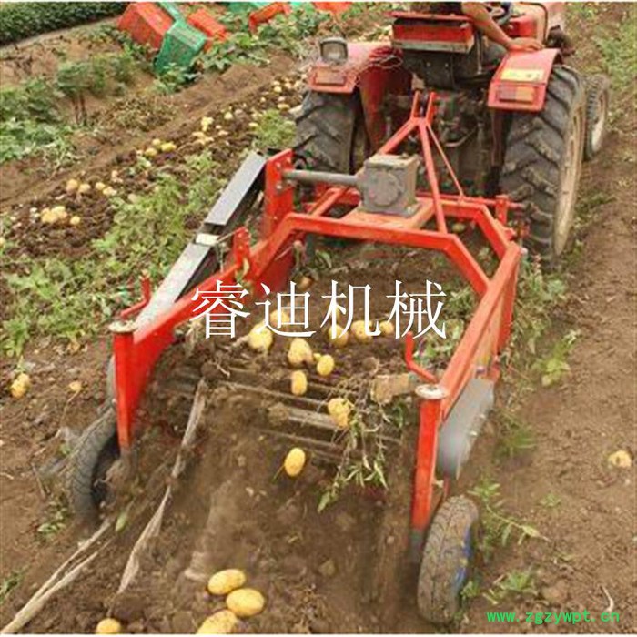 地瓜收获机 葛根专用收获机 地瓜土豆收获机图2