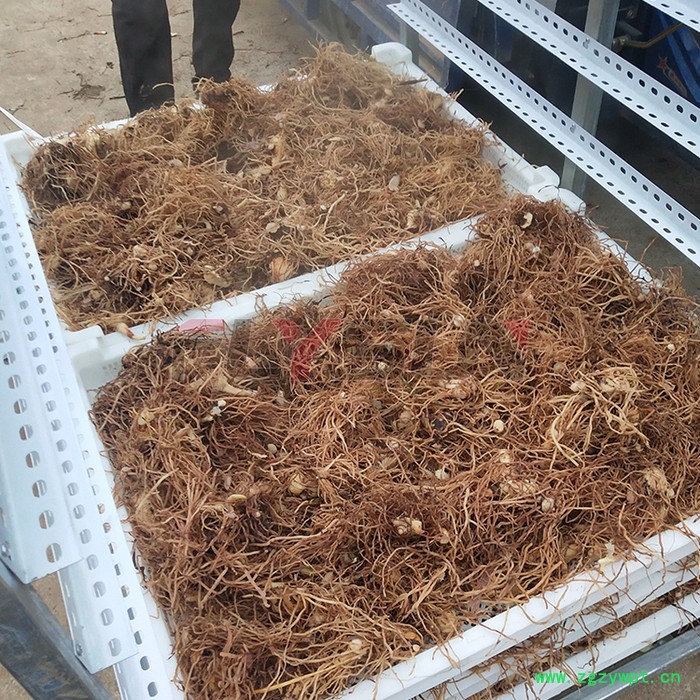 白芨烘干机设备 白芨烘干机 中药材热泵烘干机 小型节能中药材烘干机 厂家设计加工药材烘干机 方信机械图5