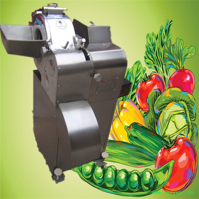 不锈钢杏鲍菇切片机  葛根切片切丁机 立式不锈钢榨菜切丝机富兴图2