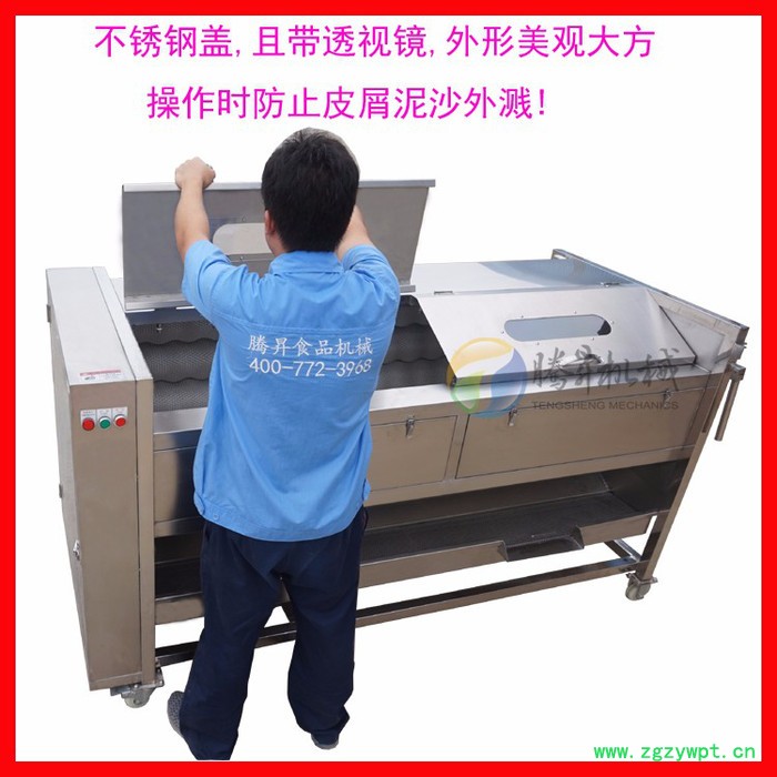 **多型号毛棍去皮机 果蔬清洗机 葛根去皮机 木薯削皮机 去皮机价TS-M800图4