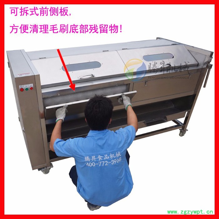 **多型号毛棍去皮机 果蔬清洗机 葛根去皮机 木薯削皮机 去皮机价TS-M800图2
