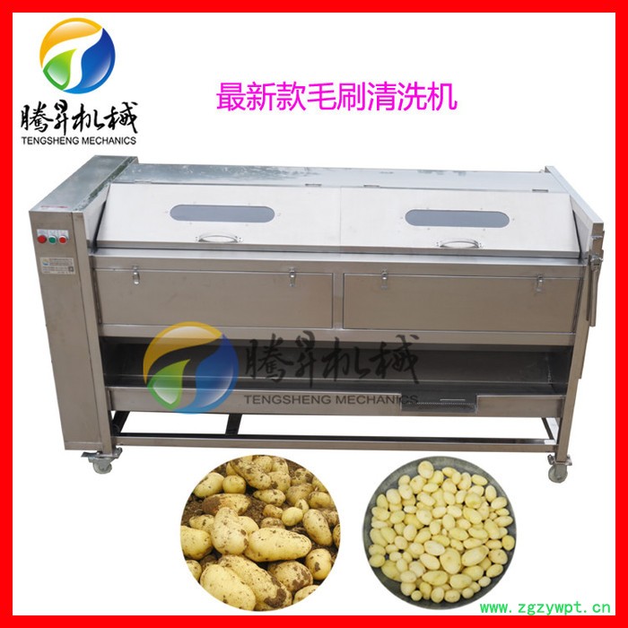 **多型号毛棍去皮机 果蔬清洗机 葛根去皮机 木薯削皮机 去皮机价TS-M800图3