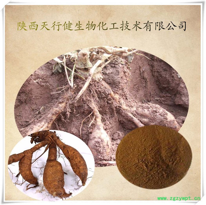 供应天行健葛根提取物