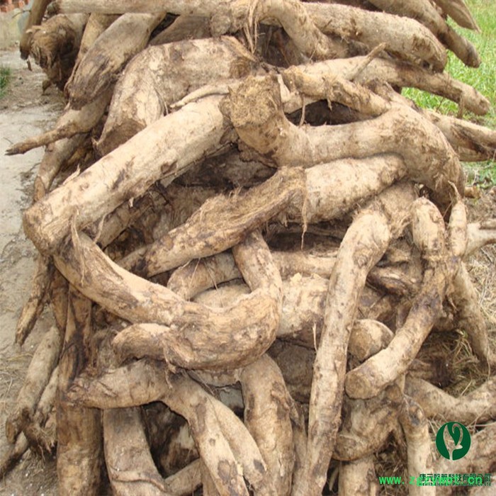 安康康元 **葛根提取物图2